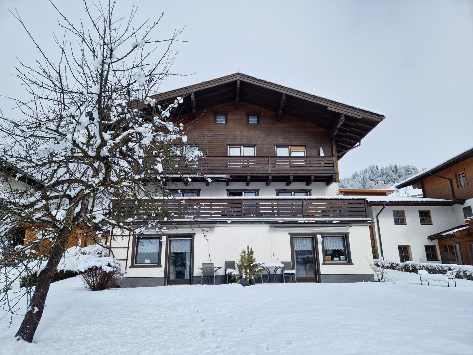 Profelt's - Steinbock